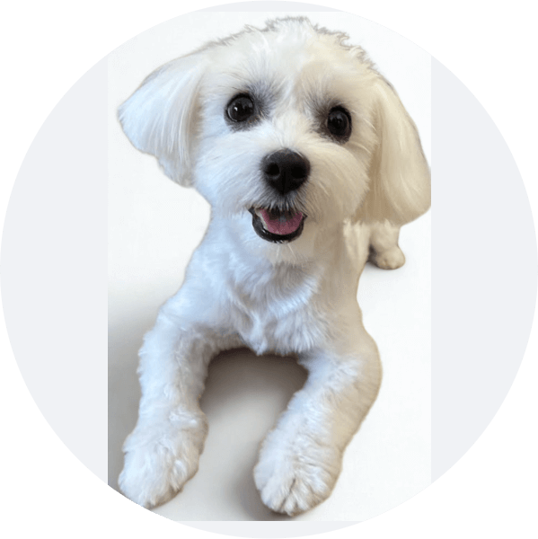 Lizy – Minőségellenőr és jókedv-felelős